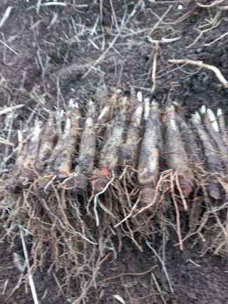 황덕순 님의 자유주제 · 자유게시판 작성글 사진