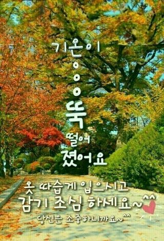 SOUL님의 자유주제 · 자유게시판 작성글 사진