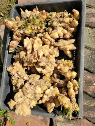 박치문님의 자유주제 · 자유게시판 작성글 사진