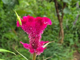 안길원님의 자유주제 · 자유게시판 작성글 사진