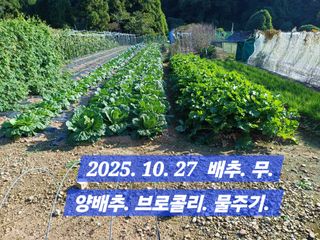 박성민님의 자유주제 · 자유게시판 작성글 사진