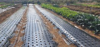 김익중님의 자유주제 · 자유게시판 작성글 사진