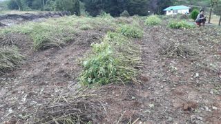 하루의행복님의 자유주제 · 자유게시판 작성글 사진