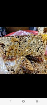 팜모닝 자유주제·자유게시판 게시글 이미지