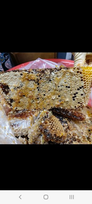 홍순원님의 자유주제 · 자유게시판 작성글 사진