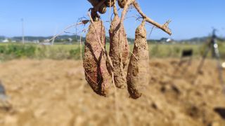 윤충기님의 자유주제 · 자유게시판 작성글 사진