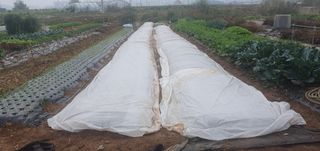 김익중님의 자유주제 · 자유게시판 작성글 사진