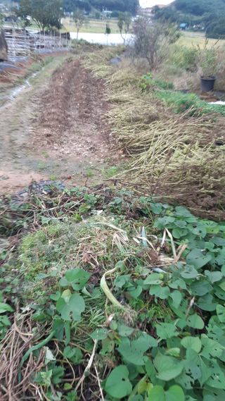 하루의행복님의 자유주제 · 자유게시판 작성글 사진