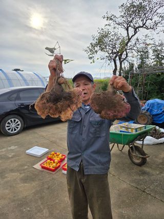 공심채님의 자유주제 · 자유게시판 작성글 사진