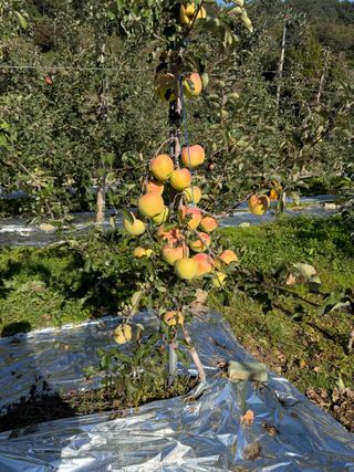 김동건님의 자유주제 · 자유게시판 작성글 사진