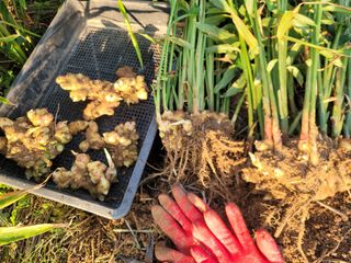 박치문님의 자유주제 · 자유게시판 작성글 사진