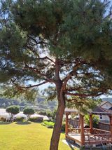 팜모닝 자유주제·자유게시판 게시글 이미지