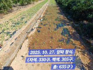 박성민님의 자유주제 · 자유게시판 작성글 사진