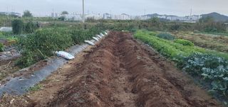 김익중님의 자유주제 · 자유게시판 작성글 사진