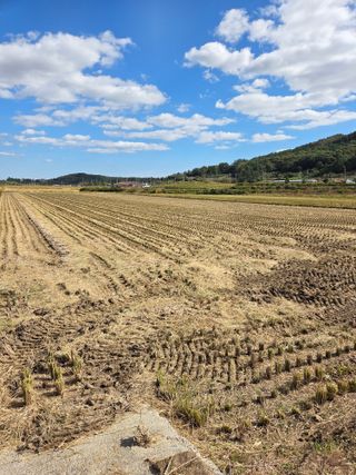 김영진(전남영광)님의 자유주제 · 자유게시판 작성글 사진