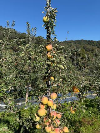 김동건님의 자유주제 · 자유게시판 작성글 사진
