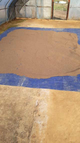 하루의행복님의 자유주제 · 자유게시판 작성글 사진