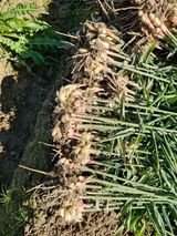 팜모닝 자유주제·자유게시판 게시글 이미지