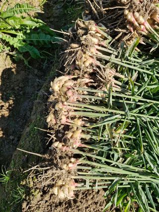 !정의규님의 자유주제 · 자유게시판 작성글 사진