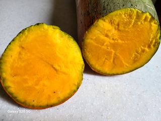 남봉희님의 자유주제 · 자유게시판 작성글 사진