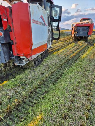 김영진(전남영광)님의 자유주제 · 자유게시판 작성글 사진