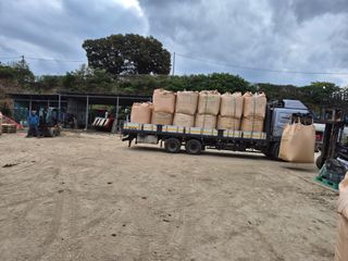 김영진(전남영광)님의 자유주제 · 자유게시판 작성글 사진