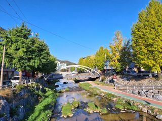 MSG0074님의 자유주제 · 자유게시판 작성글 사진