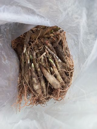 황덕순 님의 자유주제 · 자유게시판 작성글 사진