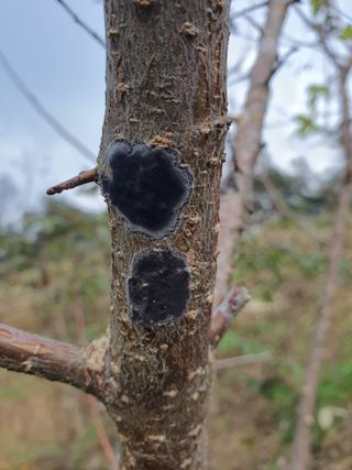 차 도영님의 자유주제 · 자유게시판 작성글 사진