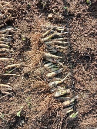 황덕순 님의 자유주제 · 자유게시판 작성글 사진