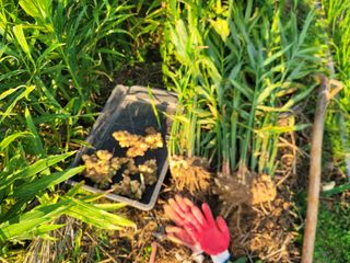 박치문님의 자유주제 · 자유게시판 작성글 사진