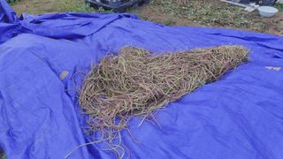 윤충기님의 자유주제 · 자유게시판 작성글 사진