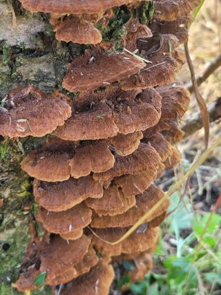 김관수님의 자유주제 · 자유게시판 작성글 사진