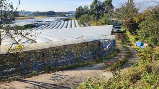 강재구님의 자유주제 · 자유게시판 작성글 사진