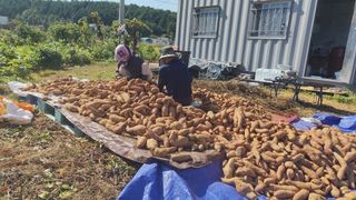 윤충기님의 자유주제 · 자유게시판 작성글 사진