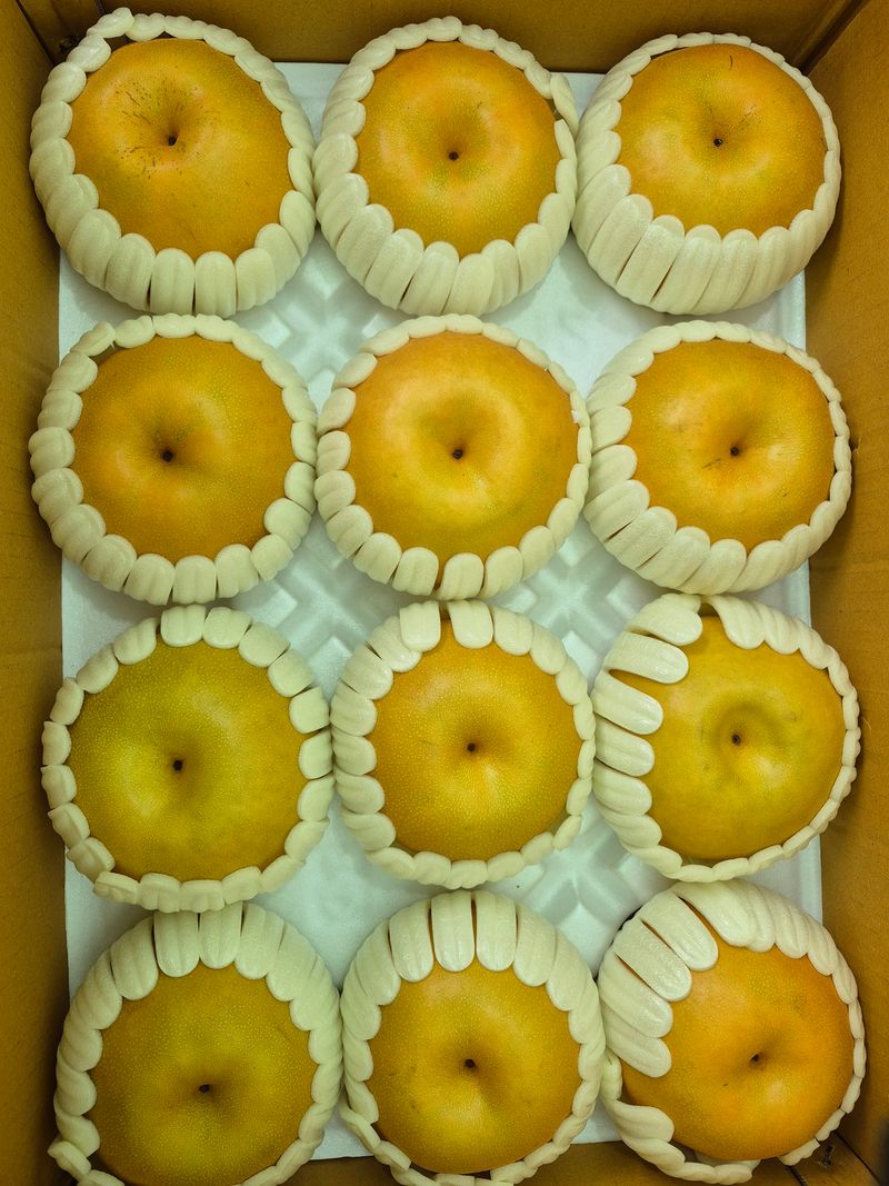 장터 상품 [게르마늄 신고배 7.5kg .19과] 썸네일