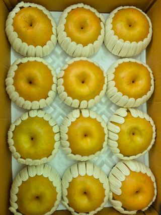 독고다이님의 작성글 사진