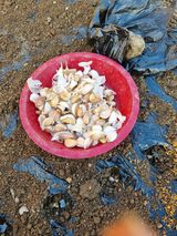 팜모닝 자유주제·자유게시판 게시글 이미지