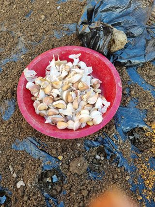 김경일 님의 자유주제 · 자유게시판 작성글 사진