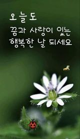 팜모닝 · 게시글 이미지