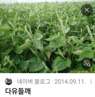 권리를위한투쟁님의 자유주제 · 자유게시판 작성글 사진