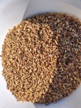 팜모닝 자유주제·자유게시판 게시글 이미지