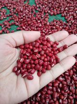 팜모닝 자유주제·자유게시판 게시글 이미지