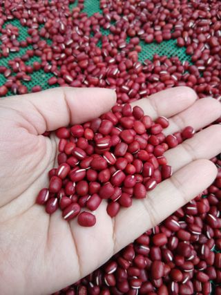 SARIFUDIN YASINTA MARYAMA님의 자유주제 · 자유게시판 작성글 사진