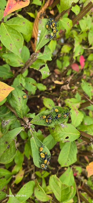 이종록님의 자유주제 · 자유게시판 작성글 사진