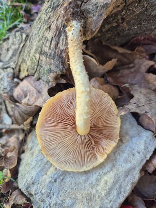 가인 5362님의 자유주제 · 자유게시판 작성글 사진