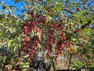 구성휘님의 자유주제 · 자유게시판 작성글 사진