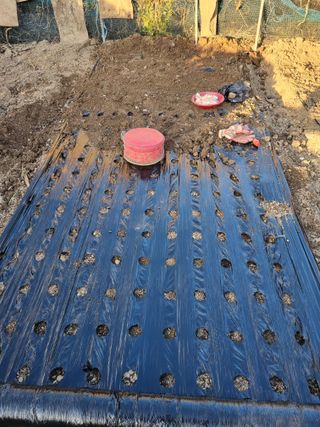 김경일 님의 자유주제 · 자유게시판 작성글 사진