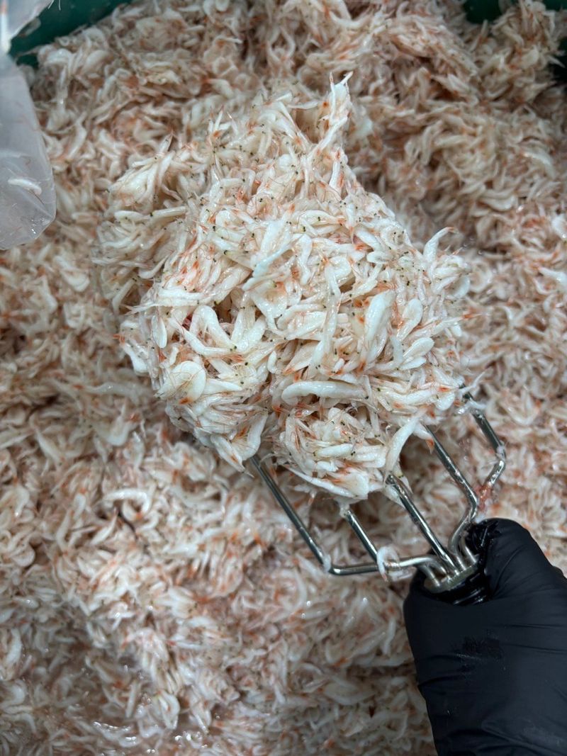 목포 물좋은수산님의 장터 판매 상품 [최상급 햇 추젓 2kg] 첨부 사진