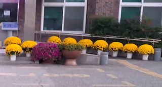 MSG0074님의 자유주제 · 자유게시판 작성글 사진